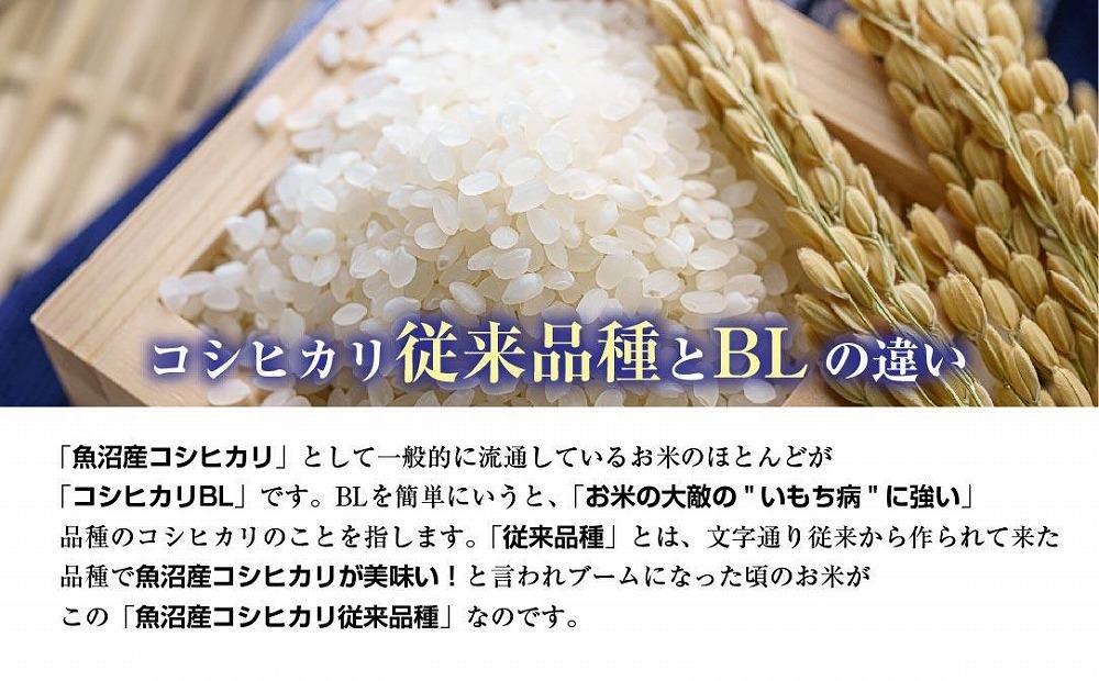 新潟県 南魚沼産 コシヒカリ 【従来品種】塩沢地区 お米 2kg  ×2袋 計4kg精米済み（お米の美味しい炊き方ガイド付き）