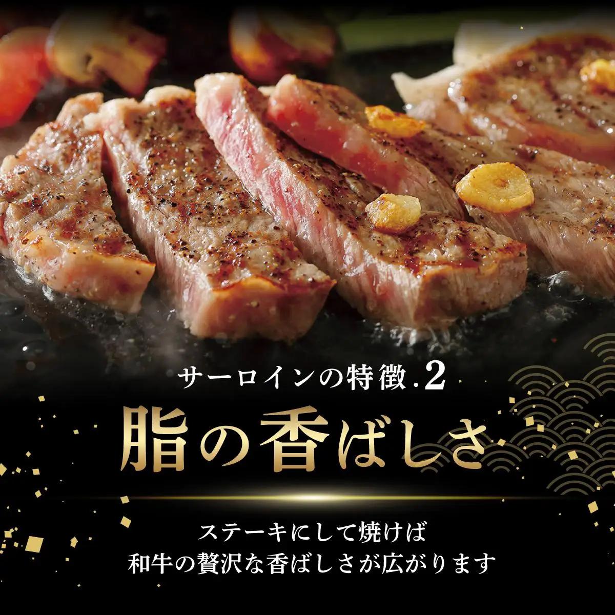  ＜定期便・全12回＞A4ランク以上！博多和牛 サーロインステーキ 500g（250g×2枚）