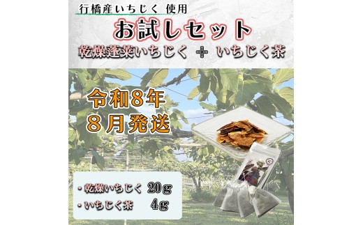 AO-032_お試しセット 乾燥蓬莱いちじく20g + いちじく茶 4ｇ（2ｇ×2パック）