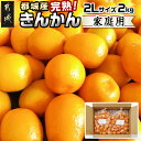 【ふるさと納税】【2月〜3月お届け】都城産完熟きんかん 家庭用2kg (2Lサイズ) - 都城産 完熟きんかん きんかん 2Lサイズ 約2kg 柑橘類 2月〜3月お届け 家庭用 先行受付 送料無料 13-B501【宮崎県都城市は2年連続ふるさと納税日本一！】