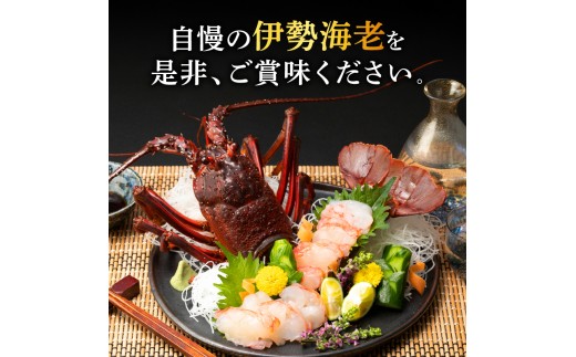 ［日付指定できる！］文恵丸水産の熊野灘産活伊勢海老　大漁コース 4～12尾 約2.2kg前後【魚介 伊勢海老 伊勢えび 海老 えび 活き 三重県 御浜町】
