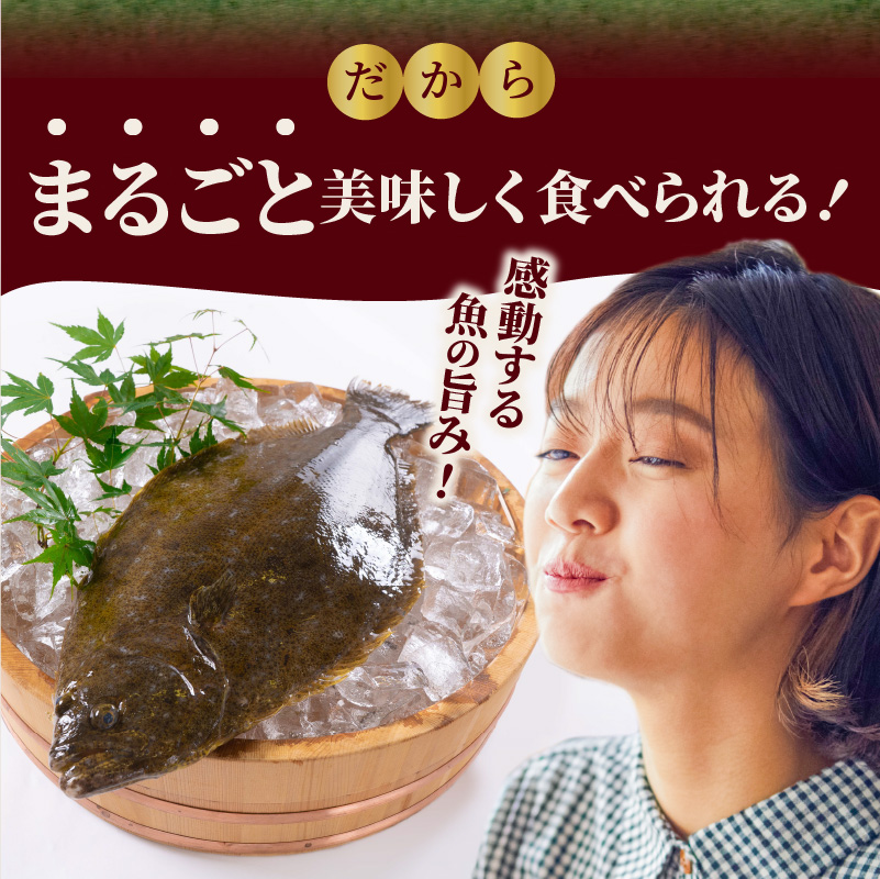 【冷蔵】縁側も美味！延岡産活〆ヒラメのお刺身 N019-YA852