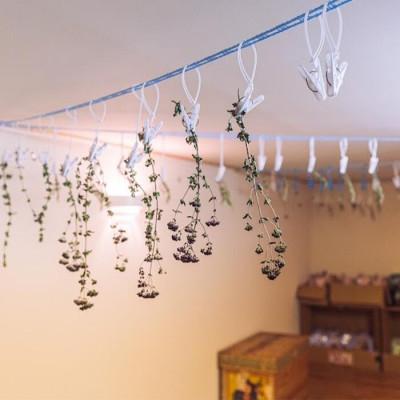 ふるさと納税 飯綱町 ハーブティー 6袋  長野県 飯綱町 |  | 03