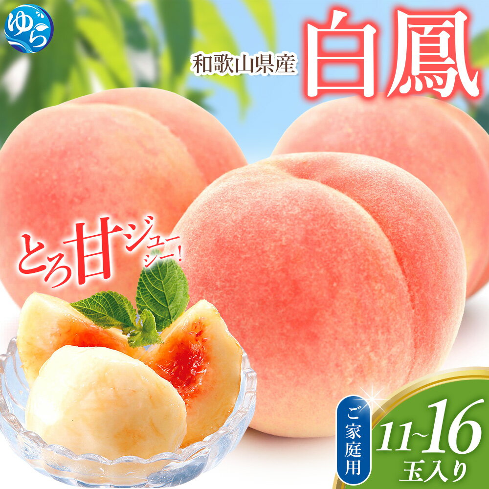 【ふるさと納税】 訳あり 桃 白鳳 11～16玉入 / もも 家庭用 数量限定 ※2026年6月下旬から7月中旬ごろ発送