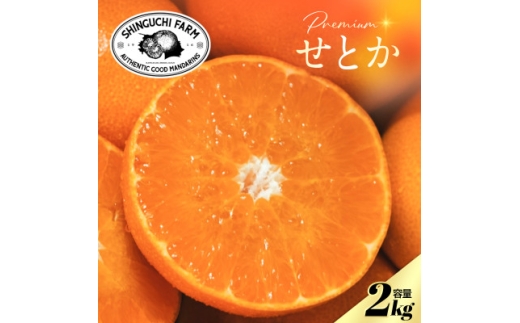 ＜数量限定＞老舗農家が見極めたプレミアム＜せとか2kg＞柑橘の大トロ＜愛媛県川上産＞＜C70-96＞【1671344】