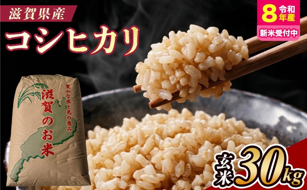 
                  【令和8年産 新米 先行予約】近江米コシヒカリ 30kg（玄米）※2026年9月～発送 (173433-40043430)
                
