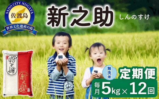 佐渡島産【12か月定期便】佐渡島産 新之助 無洗米 合計60kg（5kg×毎月お届け全12回）令和8年産 新米 単一原料米 | 新潟県産新之助 新潟産新之助 佐渡産新之助 しんのすけ 新之助 お米 米 無洗米 むせんまい 精米 ブランド米 おこめ コメ 5キロ 世界農業遺産 にいがた さど 新潟県 佐渡市