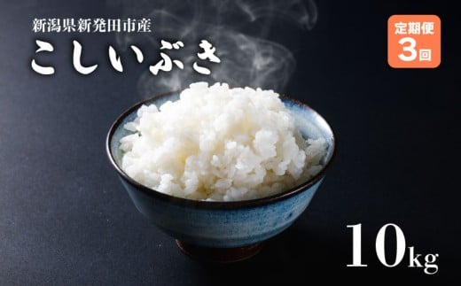 【定期便】 令和7年産 新潟産こしいぶき 10㎏×3か月 【 新潟県 新潟産 新潟米 新発田産 新発田 お米 米 こしいぶき とんとん市場 せいだ 5kg 10kg 30kg 3か月 定期便 数量限定 玄米 D59_03 】