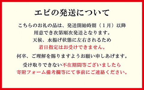 《1月から発送》北海道産 天然えび食べくらべセット　計1kg　濃厚な甘みの日本海シマエビ（大）500g＆飽きのこない旨みのガサエビ500g　国産　江差近海産　天然もの　エビかご漁師直送　最良品厳選　生