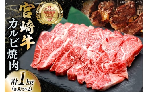 牛肉 宮崎牛 カルビ 焼肉 500g 2p 計 1kg [YAMATO 宮崎県 日向市 452061441] 焼き肉 焼肉用 冷凍 小分け a4 a5 A4 A5 1キロ カルビ バラ肉