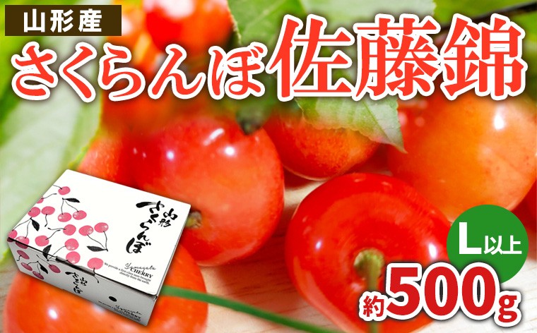 
                  さくらんぼ 佐藤錦 L以上 約500g【令和9年産先行予約】FS26-621
                