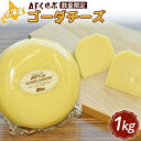 【ふるさと納税】AFくらぶ ゴーダチーズ 1kg 1個 オンライン 申請 ふるさと納税 北海道 中標津 乳製品 加工品 チーズ ゴーダ ナチュラルチーズ つまみ Japan Cheese Awards受賞 ギフト 中標津町【17009】