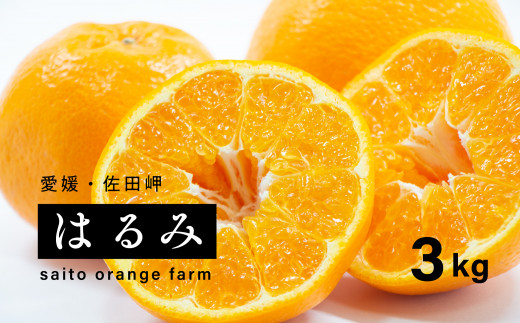 
saito orange farmのはるみ3kg
※着日指定不可
※離島への配送不可
※2024年2月中旬頃より順次発送予定
