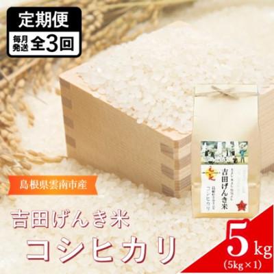 ふるさと納税 雲南市 【毎月定期便】島根県雲南市産　吉田げんき米　コシヒカリ　5kg(5kg×1)全3回