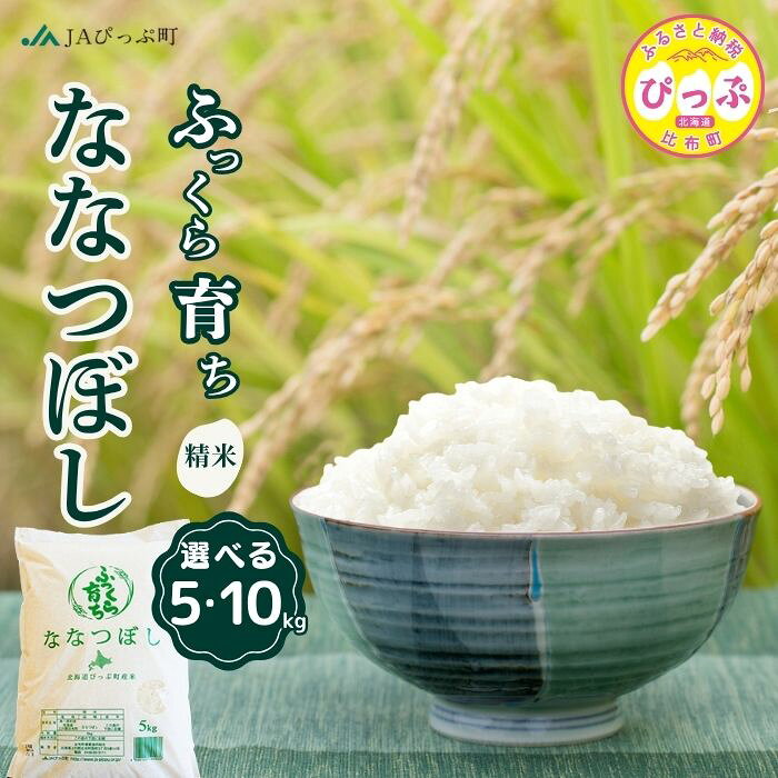 【ふるさと納税】令和7年産 新米 ななつぼし 精米【JAぴっぷ町】選べる容量 5kg 10kg 米 お米 北海道産 北海道米 特Aランク 国産 白米 コメ 北海道 比布町 ぴっぷ
