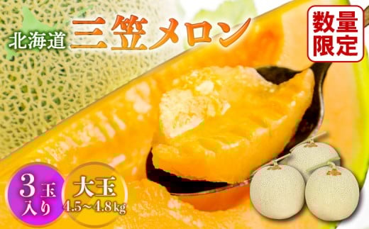 
            【SDGs】《2025年分受付中》大玉！とろける食感と甘い香り北海道三笠メロン3玉入（4.5kg～4.8kg）【0100202】
          