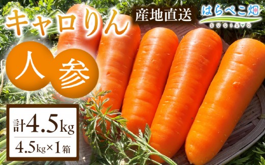 人参『キャロりん』（4.5kg×1箱）・H108