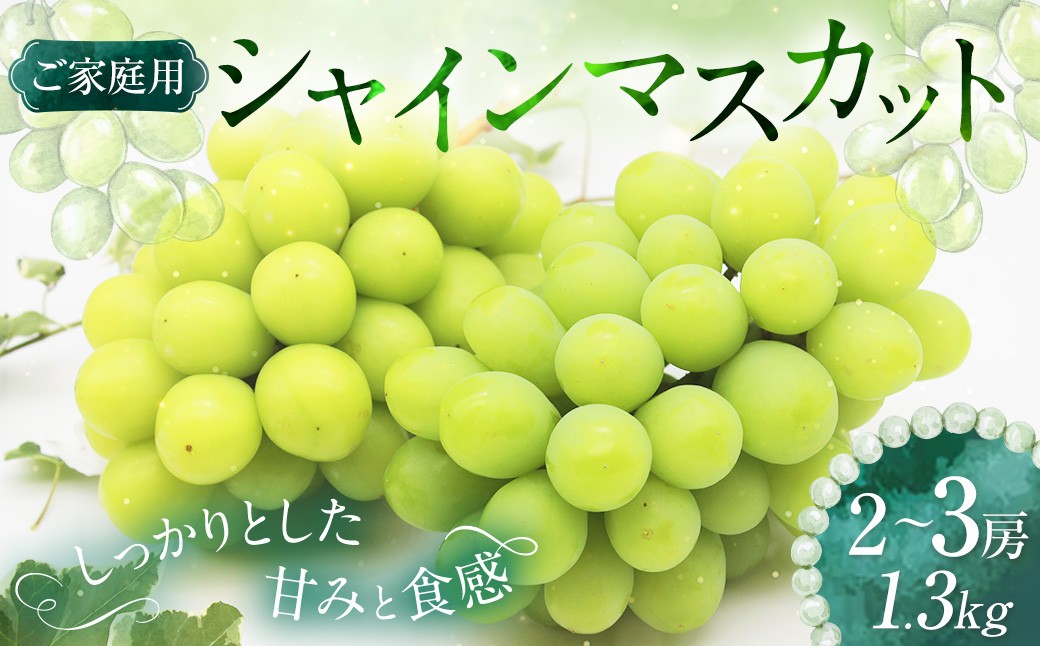 
                  【ご家庭用】 シャインマスカット 2～3房 計約1.3kg 【2026年9月上旬～10月下旬発送予定】 ／ マスカット 葡萄 ブドウ 種無し 種なし
                