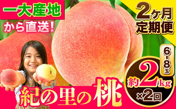 桃 もも【2025年先行予約】和歌山県産 紀の里の桃 【2ヶ月定期便】約2kg (6-8玉入り) 2回 お届け《6月中旬-8月中旬頃出荷》 桃 2025年 先行 桃 先行予約2025 もも2025 白鳳 日川白鳳 八旗白鳳 清水白桃 川中島白桃 つきあかり もも 白鳳 先行予約 もも川中島 もも2025 もも 白鳳 先行予約 もも 先行予約 もも 和歌山 もも---wfn_cwlocaltei_25_25000_jun2---