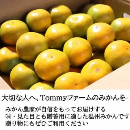 【先行受付】和歌山産　ゆら早生みかん　贈答用　秀品　約10kg箱入り　2S～2Lサイズ【1482415】