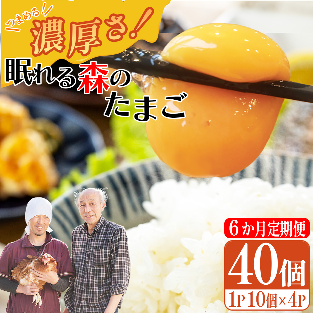 【6か月連続お届け】眠れる森のたまご 朝採れ卵40個　たまご タマゴ 卵 鶏卵 濃厚 こだわり 新鮮 定期便　【04301-0798】