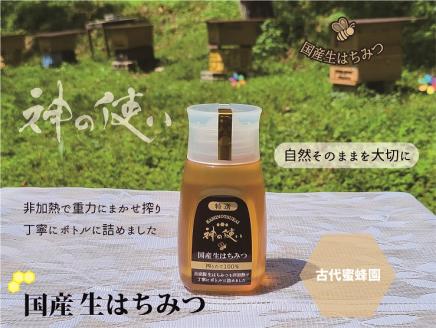 神の使いHONEY　KiBi生はちみつ