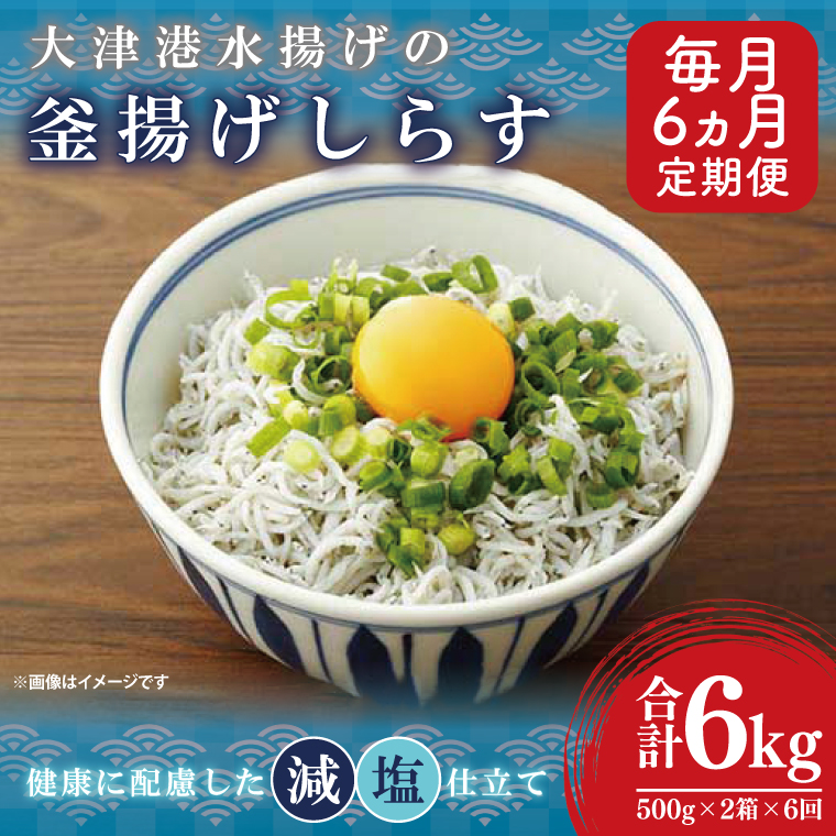 【定期便特別価格】大津港水揚げの釜揚げしらす＜6ヶ月定期便＞＜毎月＞　1kg×6回【海鮮 魚介類 しらす シラス ご飯のお供 たっぷり お手頃 個包装】(AS212)