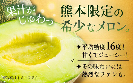 【先行予約】【数量限定】肥後グリーンメロン　約4kg(2玉入)【日本フルーツ株式会社】[ZFJ004]