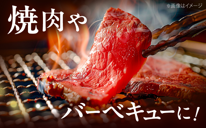 博多和牛 牛肉 焼き肉 バラ （カルビ） 500g 吉富町/肉のくまもと屋 [BGBY013]