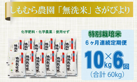 【定期便】連続６回 佐賀県認定 特別栽培米 「農薬：栽培期間中不使用」さがびより 無洗米 60kg（10kg×6 ）しもむら農園  Q123-001