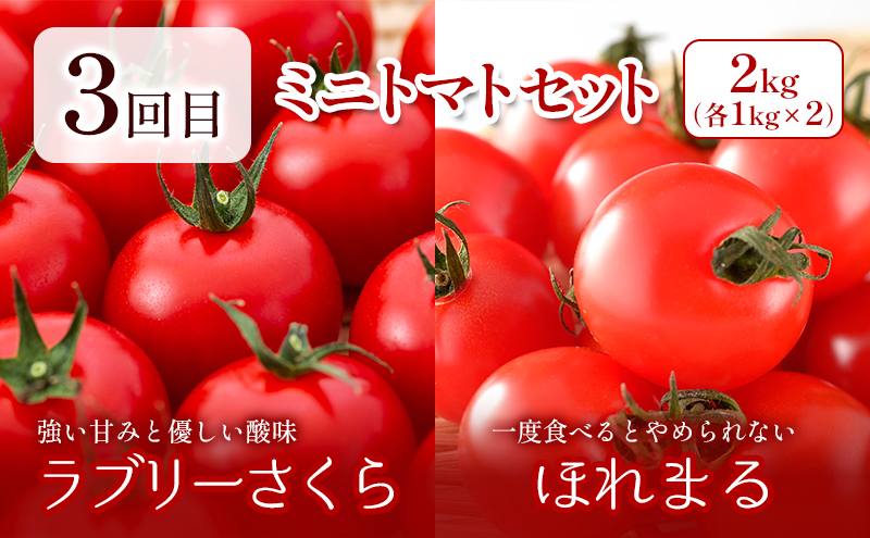 【2025年春～秋発送】北海道 定期便 4ヵ月 連続 全4回 ふらの産野菜セット富良野市 野菜 新鮮 直送 アスパラ とうもろこし ミニトマト ほれまる さくら じゃがいも 男爵 道産 ふらの 送料無