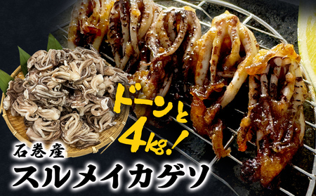 訳あり 石巻産スルメイカゲソ 4kg 冷凍 国産 いか 下足 おつまみ ゲソ天 焼イカ おかず イカ イカ イカ イカ イカ イカ