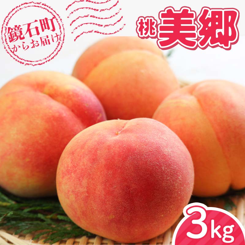 ＜先行予約＞福島県産 甘くてジューシー 桃 美郷 3kg （9玉～12玉） もも フルーツ 果物 F6Q-351
