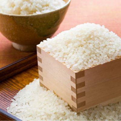 ふるさと納税 小野町 【先行予約】令和8年産　小野町産ひとめぼれ10kg(5kg×2袋)精米 |  | 01