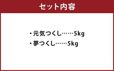 令和7年産 元気つくし・夢つくしセット 各5kg×1袋 計10kg  ／ 米 お米 ご飯 精米 九州 福岡