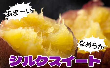 焼き芋 冷凍 ヤバ芋 500g×5 計2.5kg やきいも 芋 サツマイモ シルクスイート おやつ スイーツ 甘い 伊達市