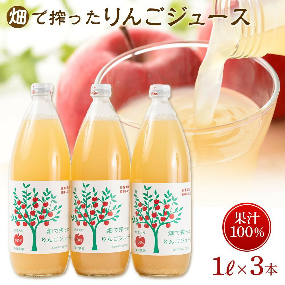 【ふるさと納税】りんご ジュース 3本 × 各1000ml 大町産 箱入り | 飲料 野菜ジュース 食品 人気 おすすめ 送料無料