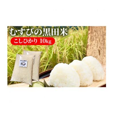 ふるさと納税 津市 《新米 先行予約》むすびの黒田米 こしひかり 10キロ[53720076]