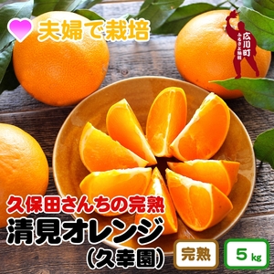 久幸園 完熟清見オレンジ 5kg　※2025年4月上旬より順次発送予定【hsk009-r-5A】