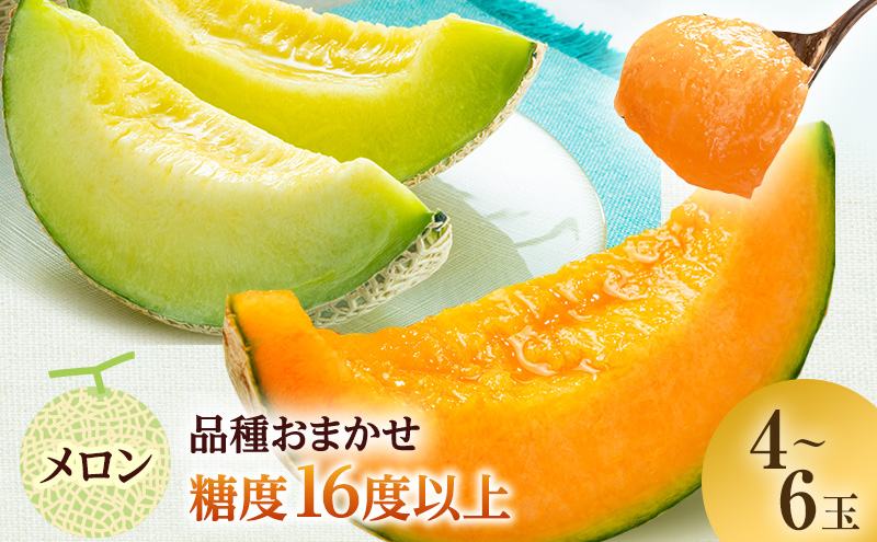 メロン 先行 予約 青森 減農薬栽培メロン 4～6玉 糖度16度以上保証 減農薬 青肉 赤肉 青肉メロン 赤肉メロン フルーツ 果物 旬のフルーツ 旬の果物 旬 夏 レビュー 高評価 先行予約 2026 2026年 青森県