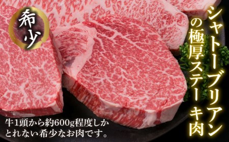 【全6回定期便】【極厚ステーキ】シャトーブリアン 約180g×2枚 サーロインステーキ 約250g×2枚 合計4枚 博多和牛 A4ランク 和牛 ヒレ《糸島》【糸島ミートデリ工房】[ACA178] ステ