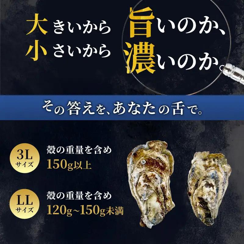 厚岸産 ブランド 殻付カキ マルえもん 生食用 サイズ食べ比べ 24個 (3L・LL各12個)[ 魚貝類 生牡蠣 かき 牡蠣 カキ 生ガキ 食べ比べ ]