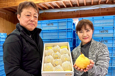 【2025年先行予約】【家庭用】西洋梨ル・レクチェ 約4㎏（9～12玉）《11月下旬以降発送》幻の洋梨 フルーツ 贈答 冬の味覚 加茂市 いずみ果樹園