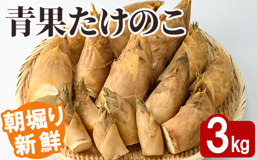 ＜先行予約受付中！2027年2月下旬以降順次発送予定＞ 【土日祝着】朝堀り青果たけのこ(約3kg) 国産 新鮮 タケノコ 青果 竹の子 筍 野菜 春 旬 期間限定 数量限定 【上野食品】akn008-