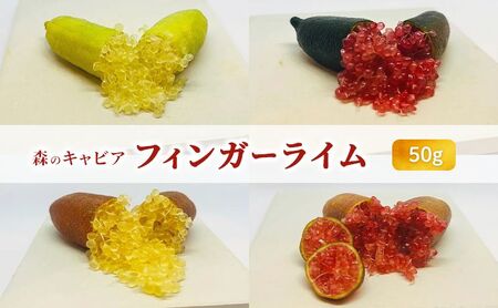 フィンガーライム 50g 森のキャビア キャビアライム フルーツキャビア