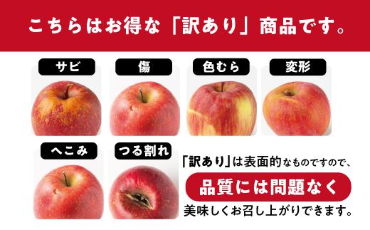 りんご 5kg 訳あり 【令和７年度先行予約】果物 サンふじ 訳あり 長野県 交換保証 感謝りんご 不揃い 規格外 家庭用 ※R7年12月〜R8年１月末順次発送 飯綱町 [1211]