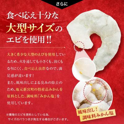 ふるさと納税 新宮町 【背ワタ処理済み】大型バナメイむきえび約6kg(2kg×3パック).CA012 |  | 02