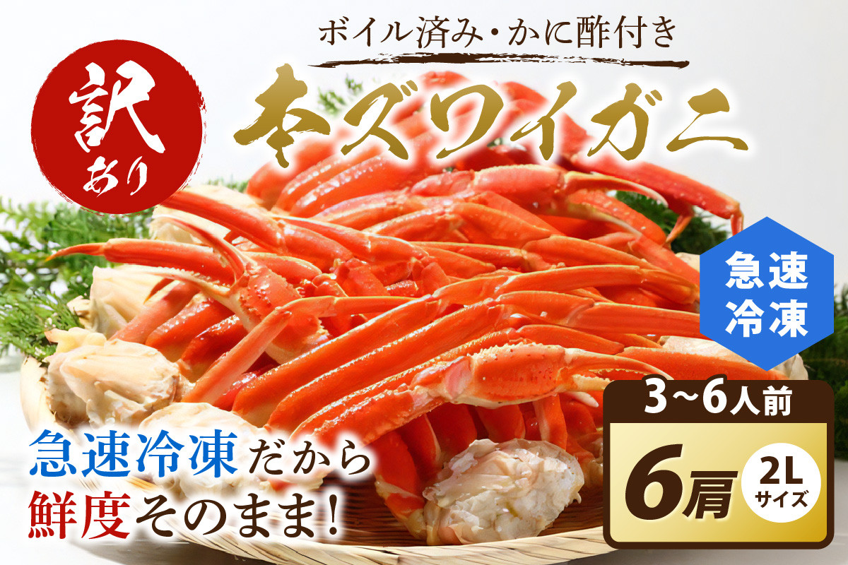 
【訳あり！カニ酢付き】急速冷凍 ボイル済み 本ズワイガニ 2Lサイズ6肩　蟹・カニ・かに・ボイルカニ・ボイルズワイガニ・訳あり かに　YK00031
