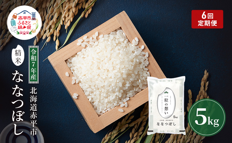 定期便6回 連続 お届け 令和7年産 北海道 赤平産 ななつぼし 5kg 白米 精米 米 北海道 ごはん ご飯 ライス おにぎり 定期便 定期 お楽しみ 6回