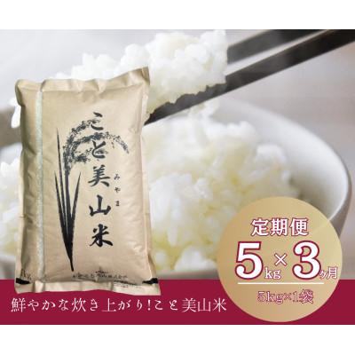 ふるさと納税 南丹市 【毎月定期便】にじのきらめき 精米 5kg(5kg×1袋) 美山町産全3回